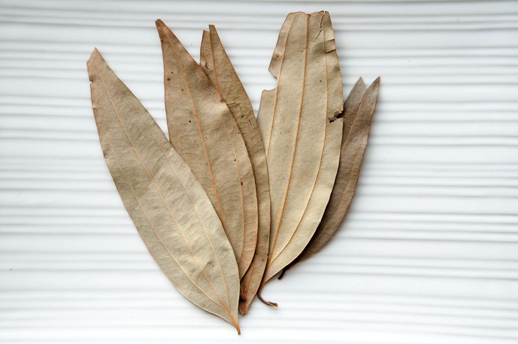 basic indian spices - dried red chilies