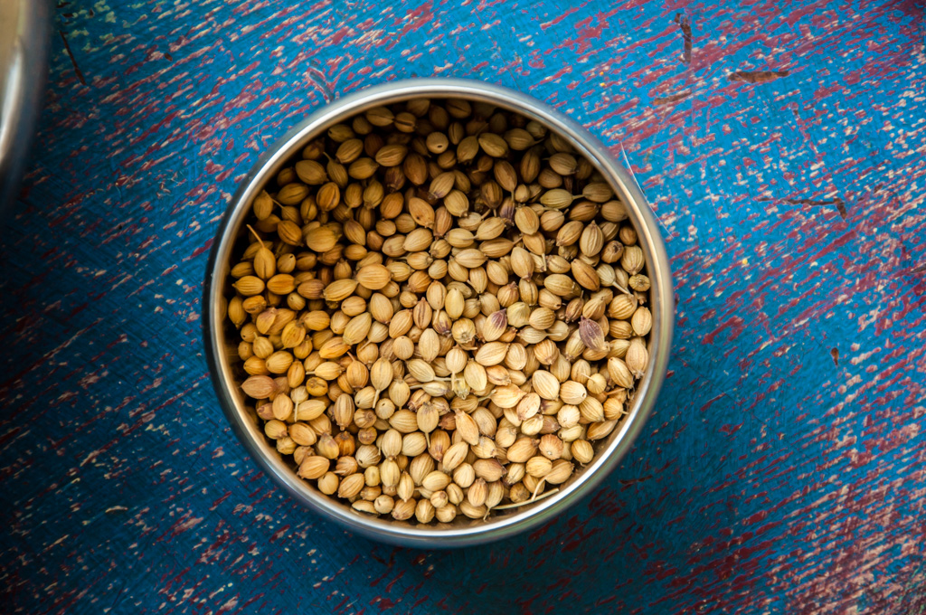 basic indian spices - coriander seeds