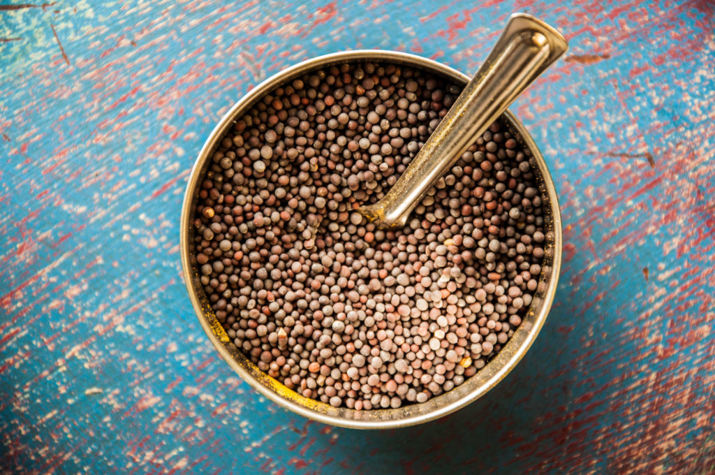 essential Indian spices - mustard seeds